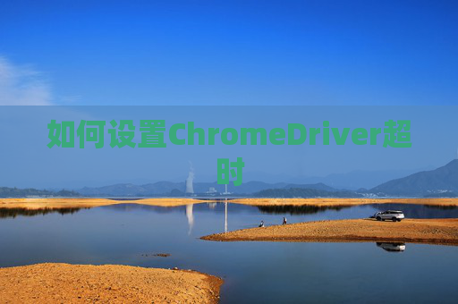如何设置ChromeDriver超时